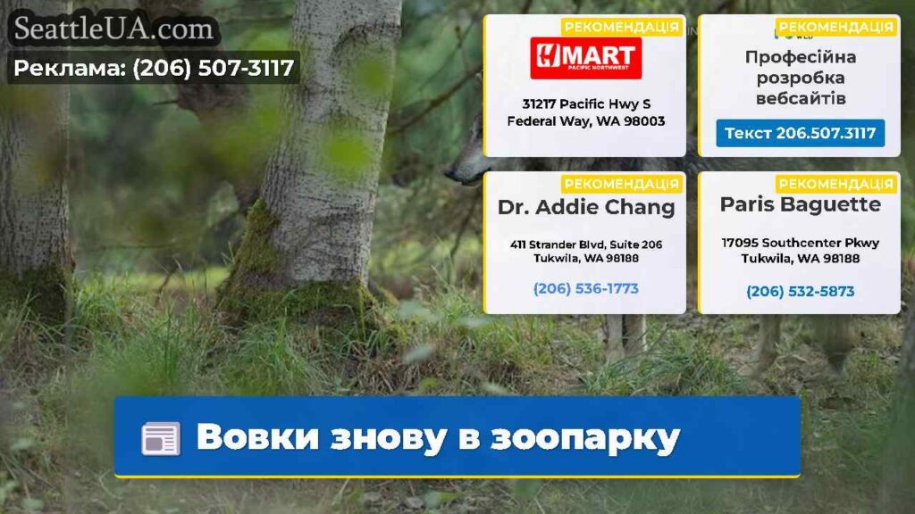 Вовки знову в зоопарку