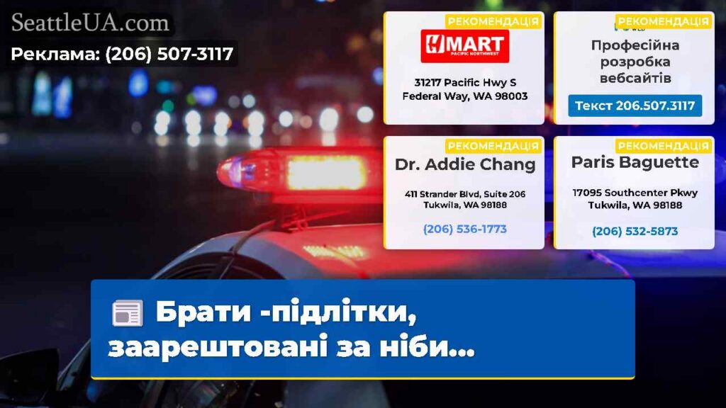 Брати -підлітки, заарештовані за ніби...