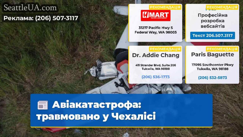 Авіакатастрофа: травмовано у Чехалісі