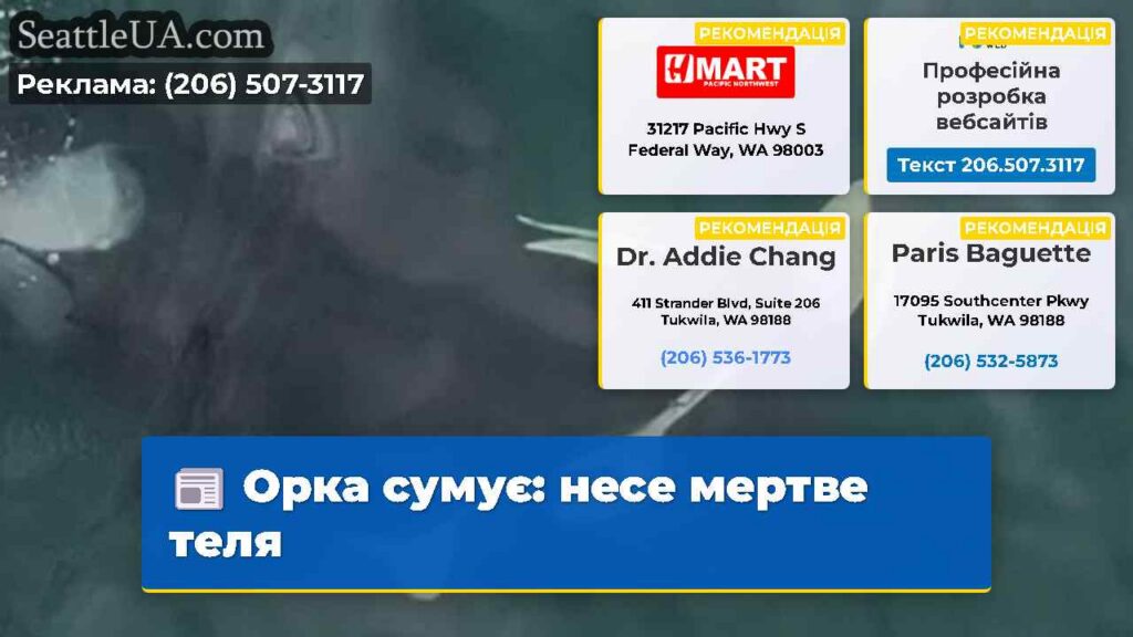 Орка сумує: несе мертве теля