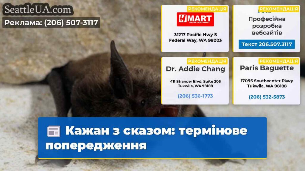 Кажан з сказом: термінове попередження