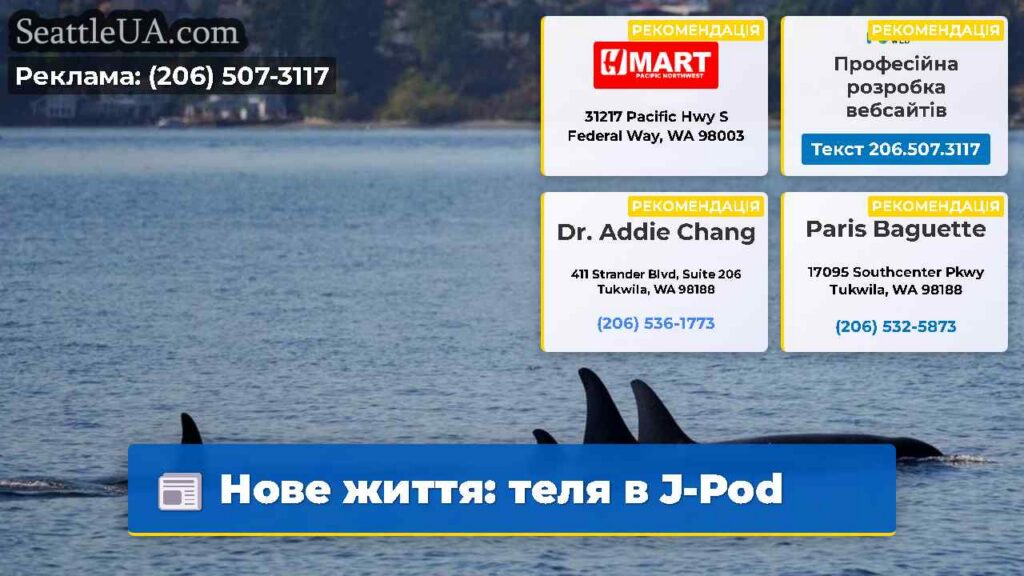 Нове життя: теля в J-Pod
