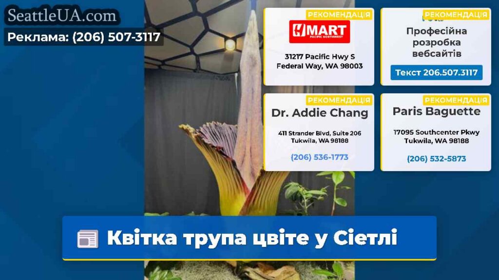 Квітка трупа цвіте у Сіетлі