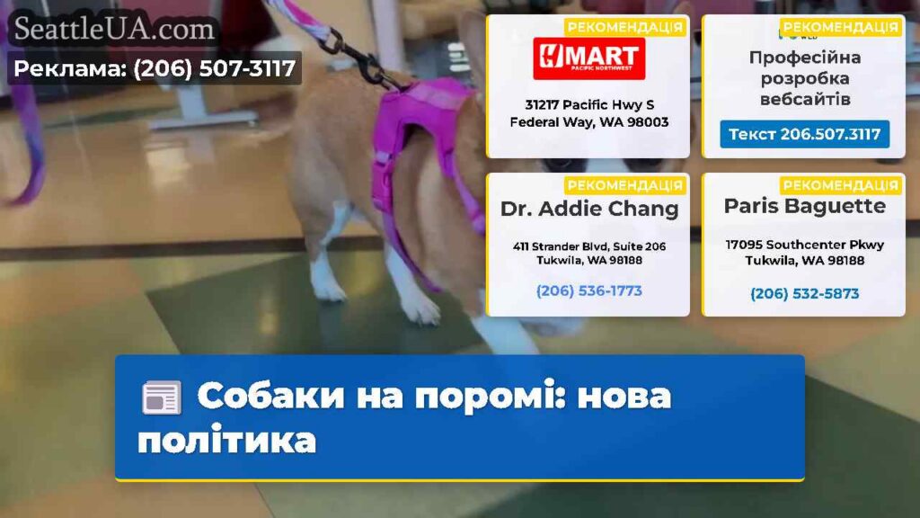 Собаки на поромі: нова політика