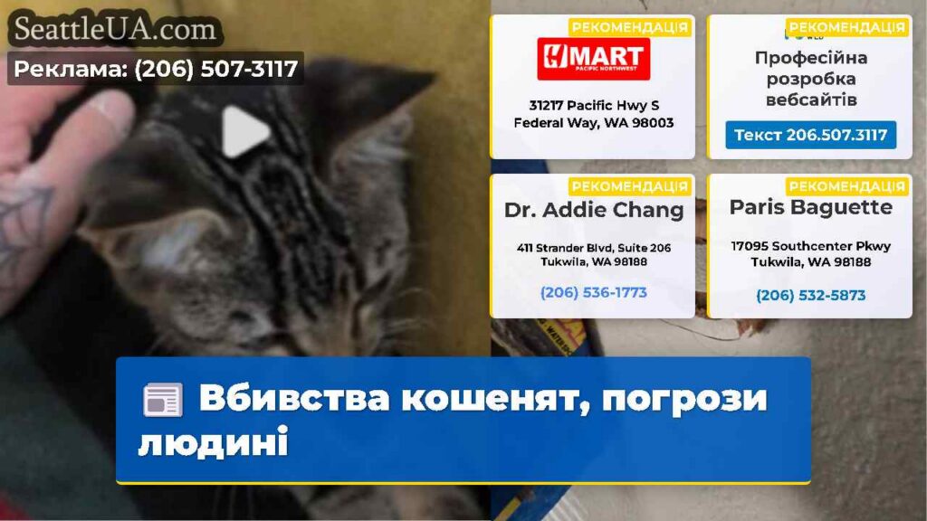 Вбивства кошенят, погрози людині