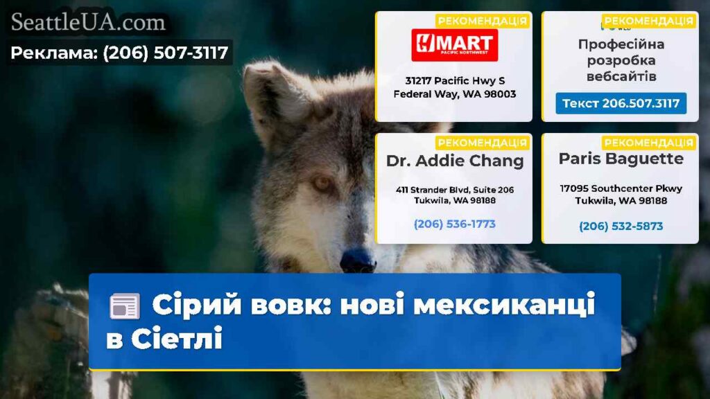 Сірий вовк: нові мексиканці в Сіетлі