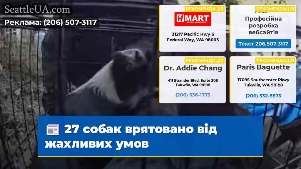 27 собак врятовано від жахливих умов