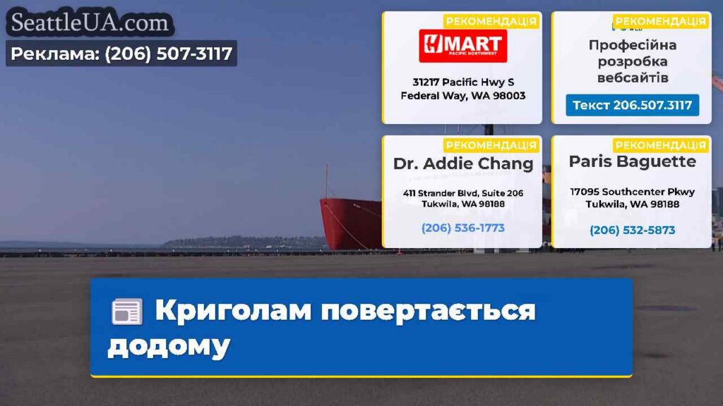 Криголам повертається додому