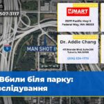 Вбили біля парку розслідування