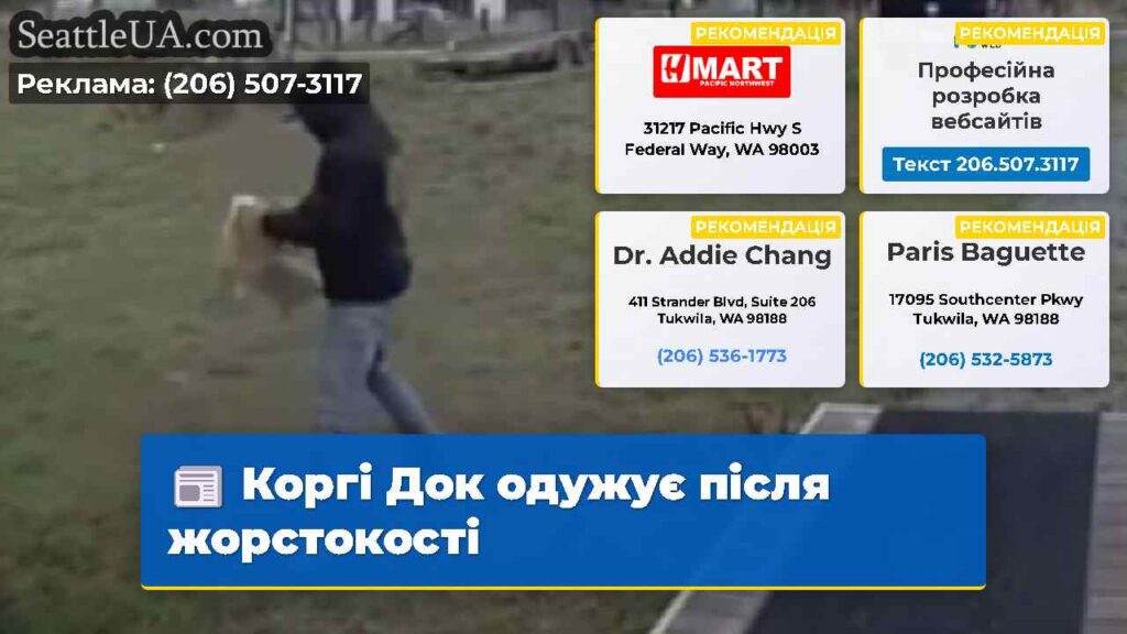 Коргі Док одужує після жорстокості