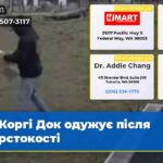 Коргі Док одужує після жорстокості