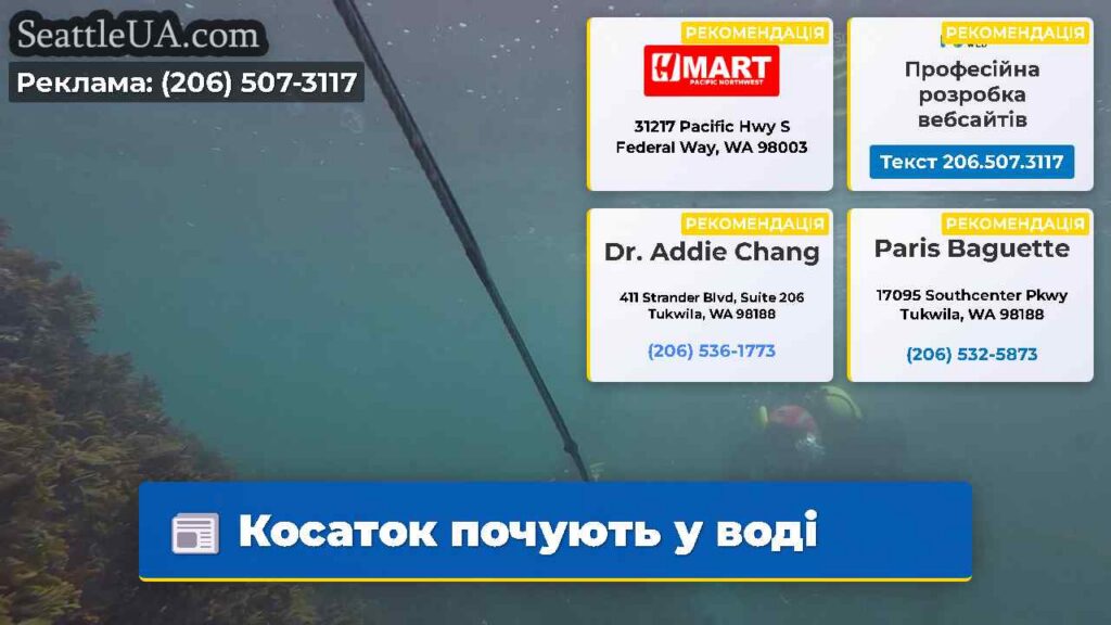 Косаток почують у воді