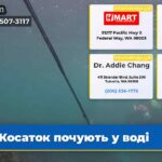 Косаток почують у воді