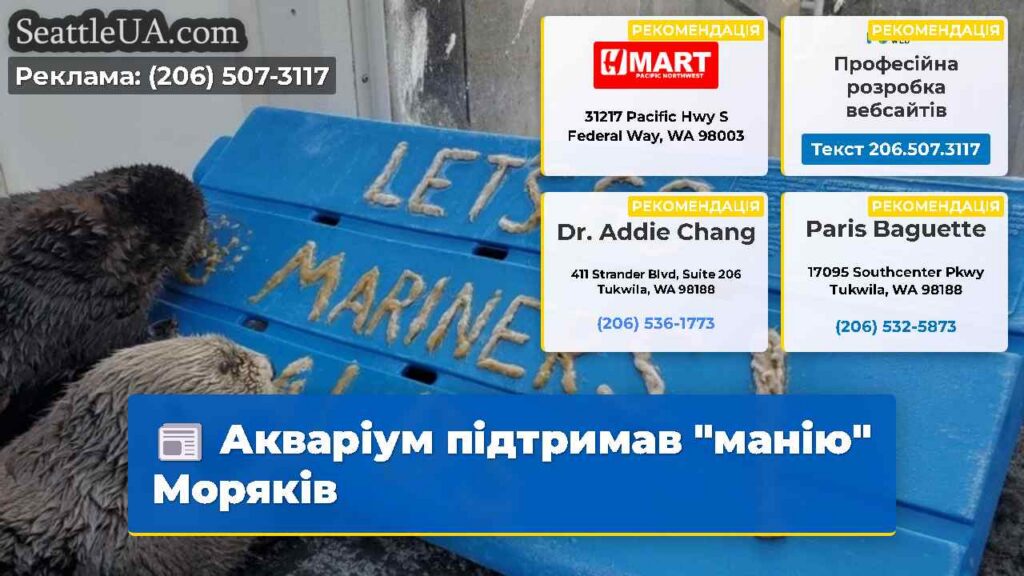 Акваріум підтримав "манію" Моряків