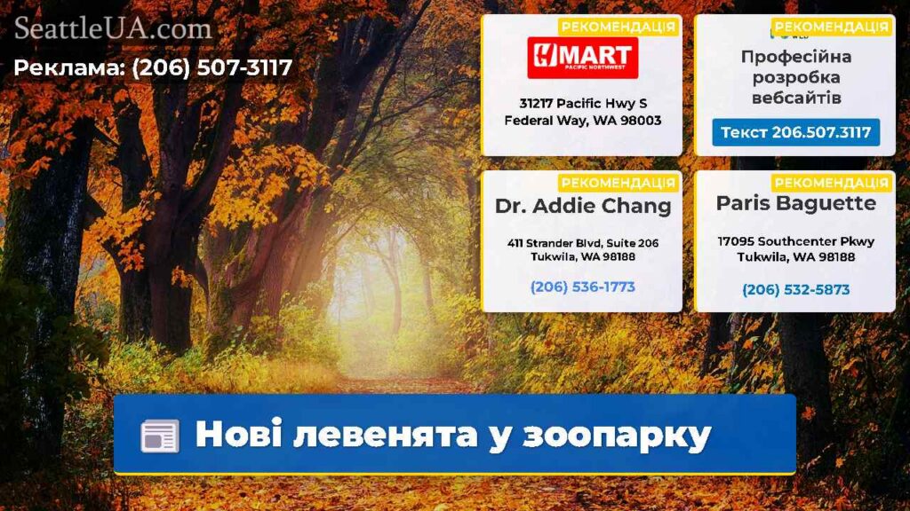 Нові левенята у зоопарку