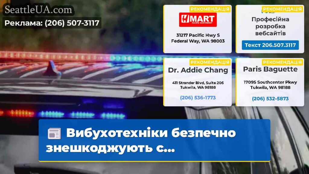 Вибухотехніки безпечно знешкоджують с...