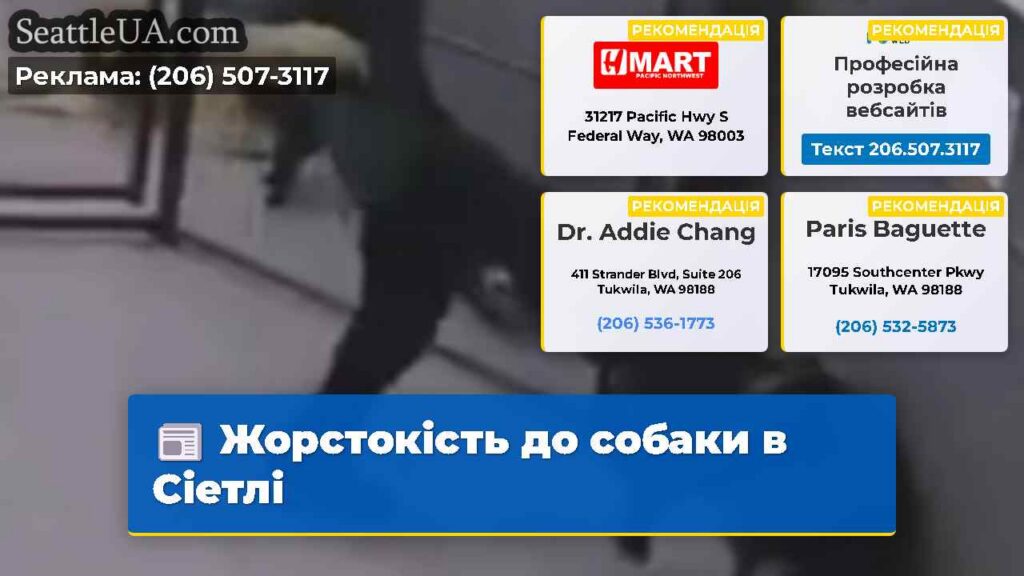 Жорстокість до собаки в Сіетлі