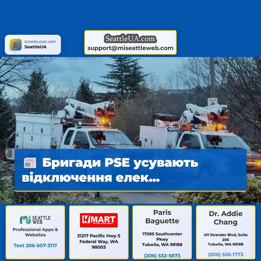 Бригади PSE усувають відключення елек...