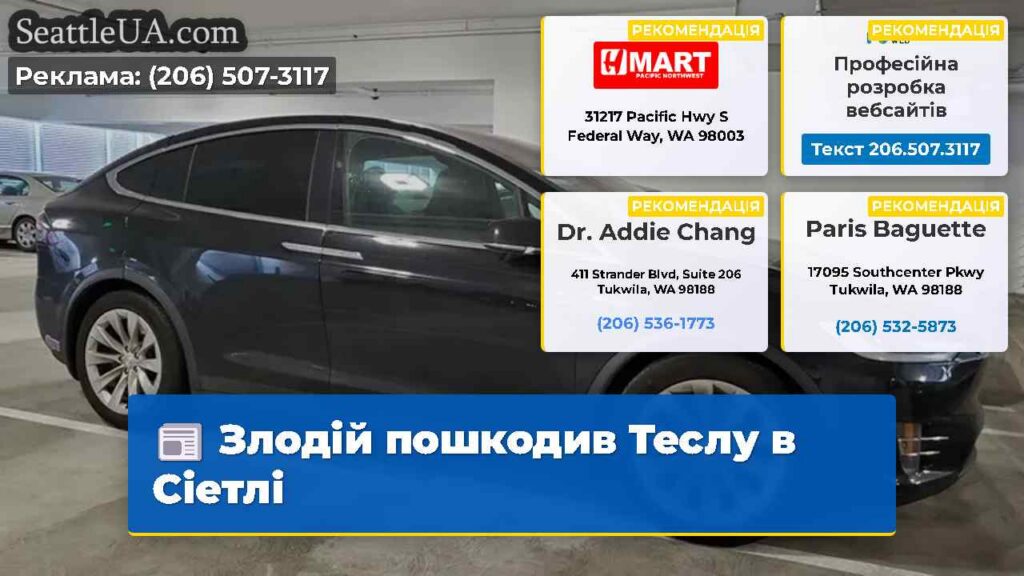 Злодій пошкодив Теслу в Сіетлі