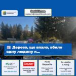 Дерево що впало вбило одну людину п…