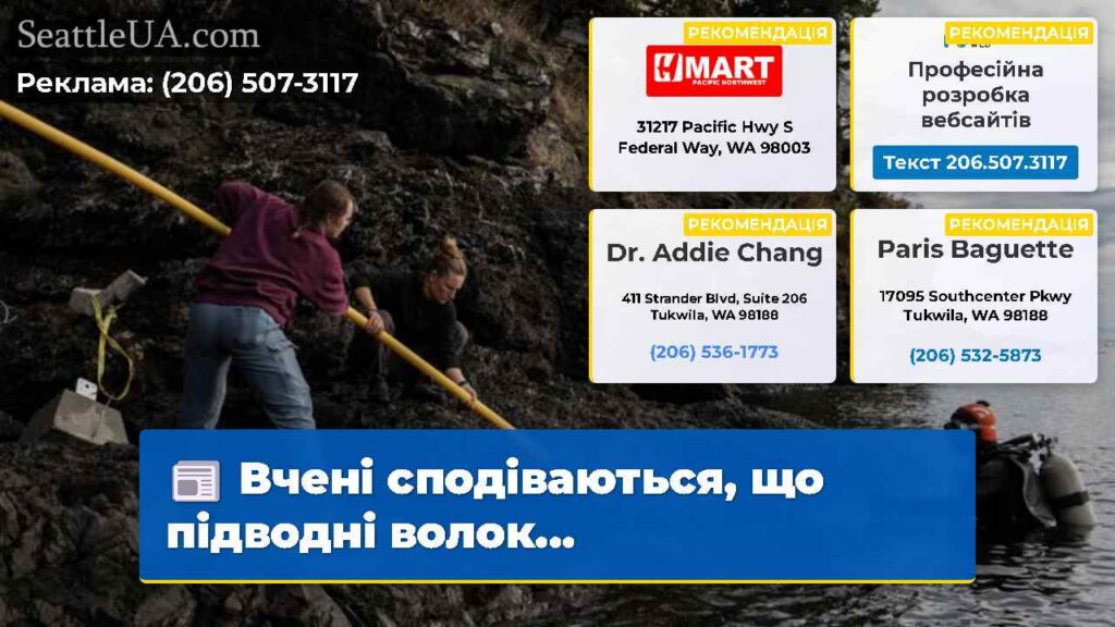 Вчені сподіваються, що підводні волок...