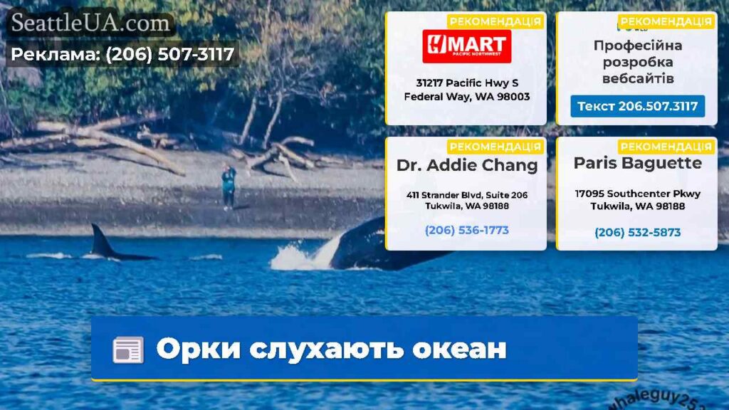 Орки слухають океан