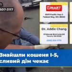 Знайшли кошеня I-5 щасливий дім чекає