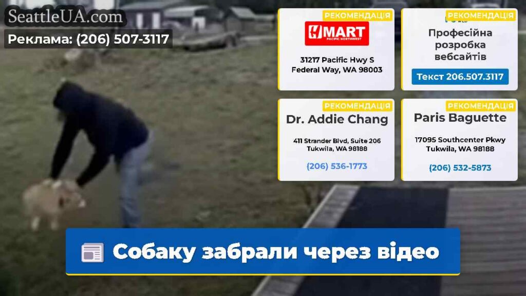 Собаку забрали через відео