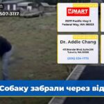 Собаку забрали через відео