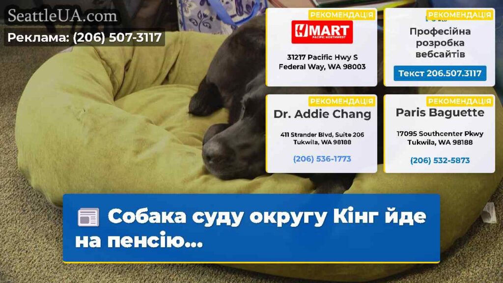 Собака суду округу Кінг йде на пенсію...