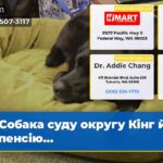 Собака суду округу Кінг йде на пенсію…