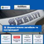 Дерево впало загибель та постраждалі