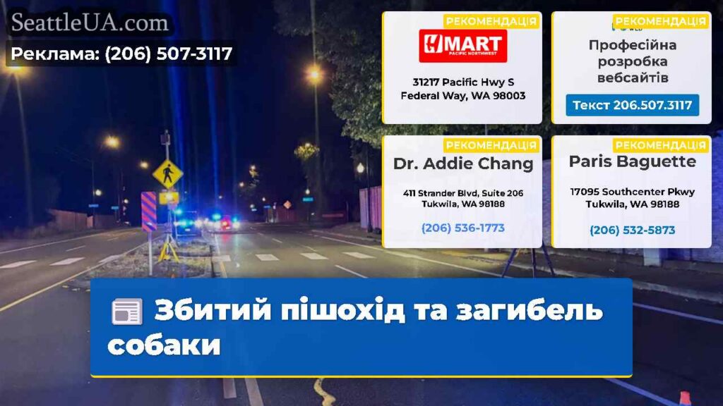 Збитий пішохід та загибель собаки
