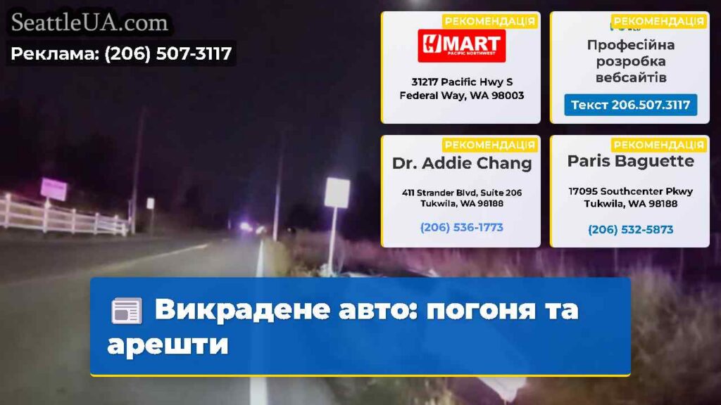 Викрадене авто: погоня та арешти