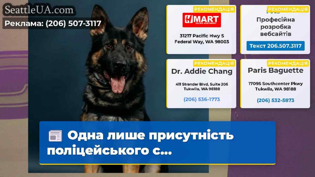 Одна лише присутність поліцейського с...
