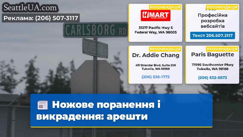 Ножове поранення і викрадення: арешти