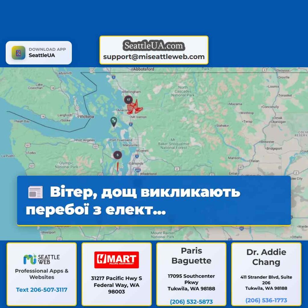 Вітер, дощ викликають перебої з елект...