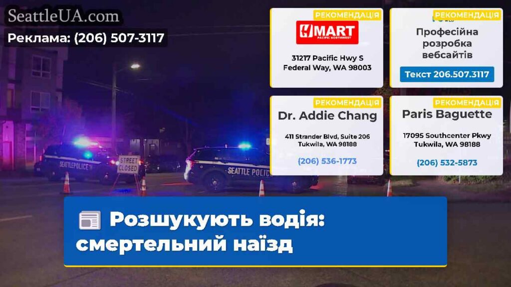 Розшукують водія: смертельний наїзд