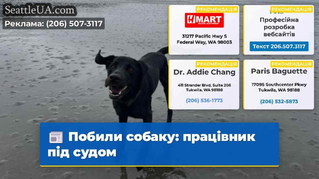 Побили собаку: працівник під судом