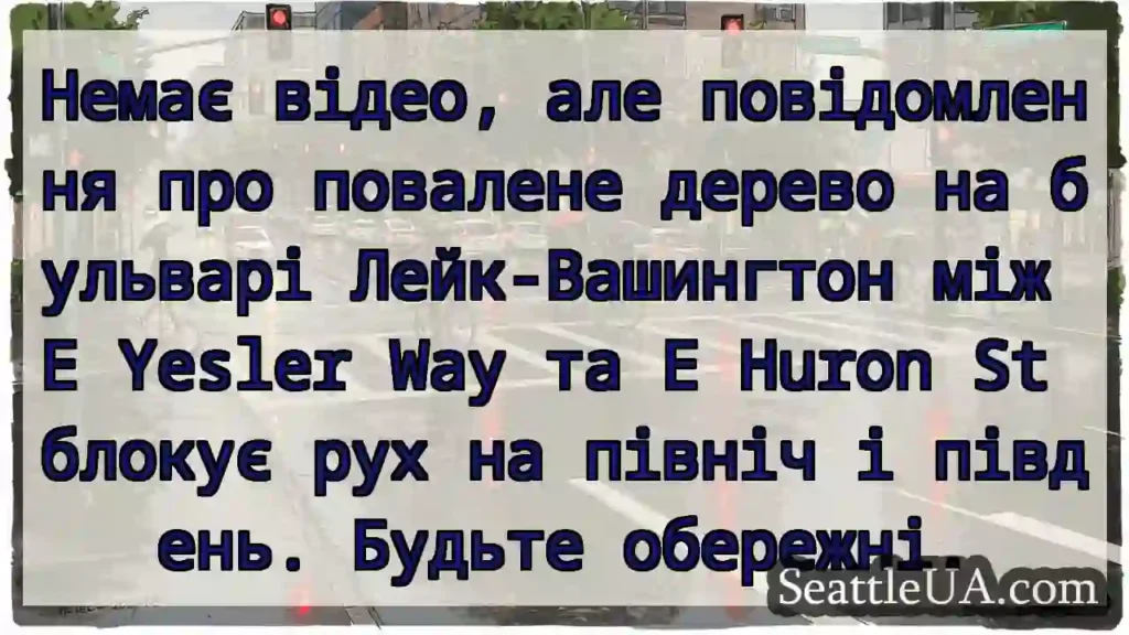 Немає відео, але повідомлення про повалене дерево