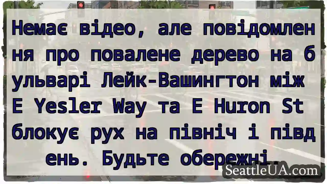 Немає відео, але повідомлення про повалене дерево