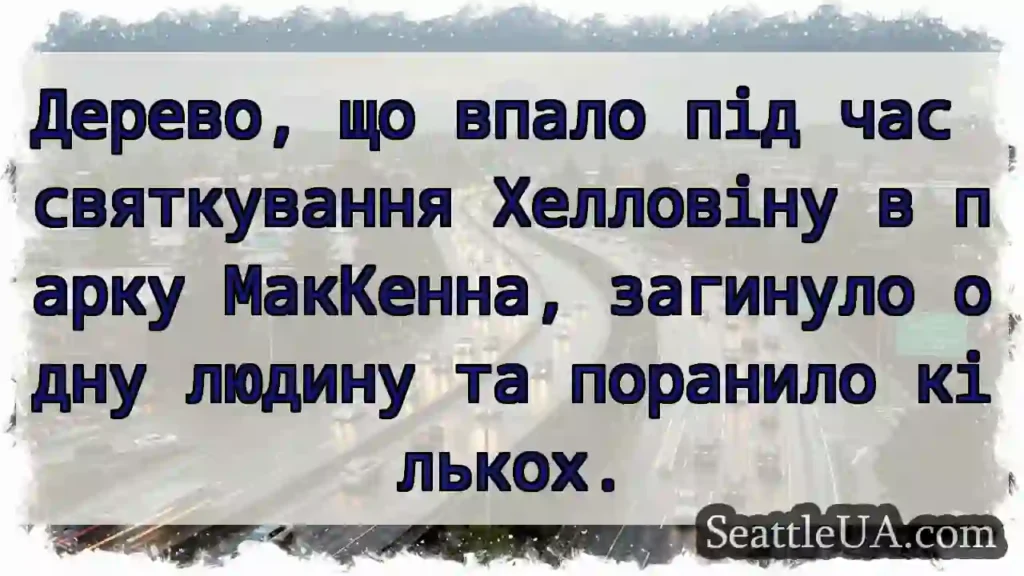 Дерево, що впало під час святкування Хелловіну в