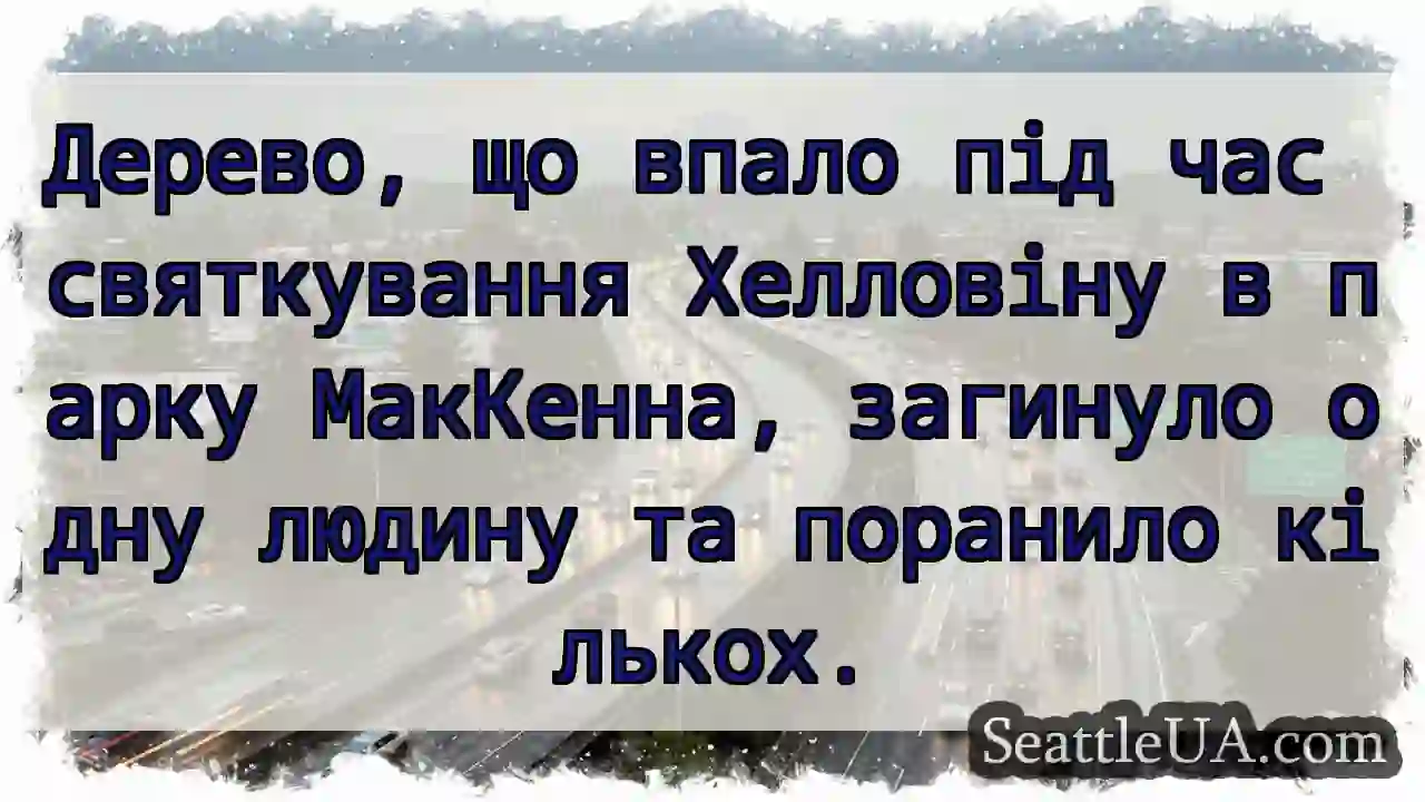 Дерево, що впало під час святкування Хелловіну в