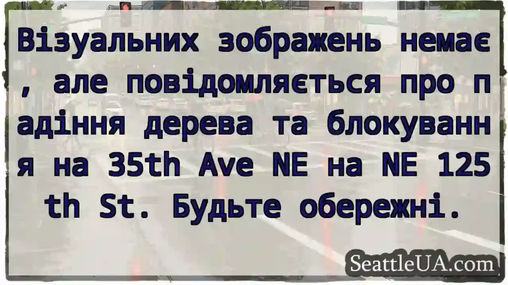 Візуальних зображень немає, але повідомляється