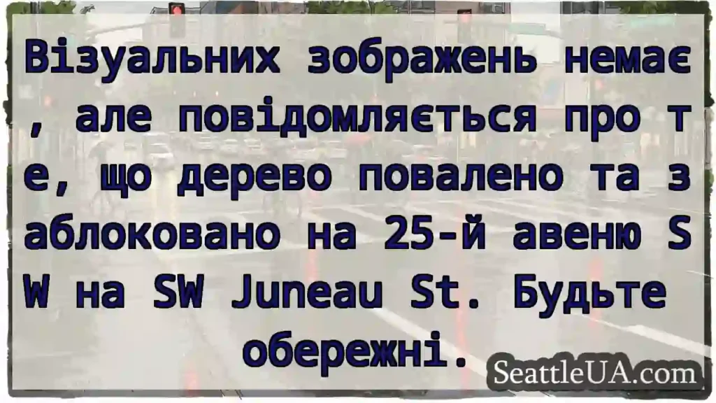 Візуальних зображень немає, але повідомляється