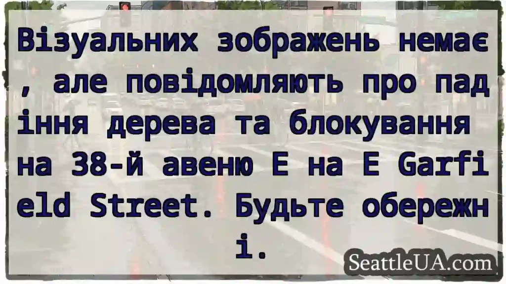 Візуальних зображень немає, але повідомляють про