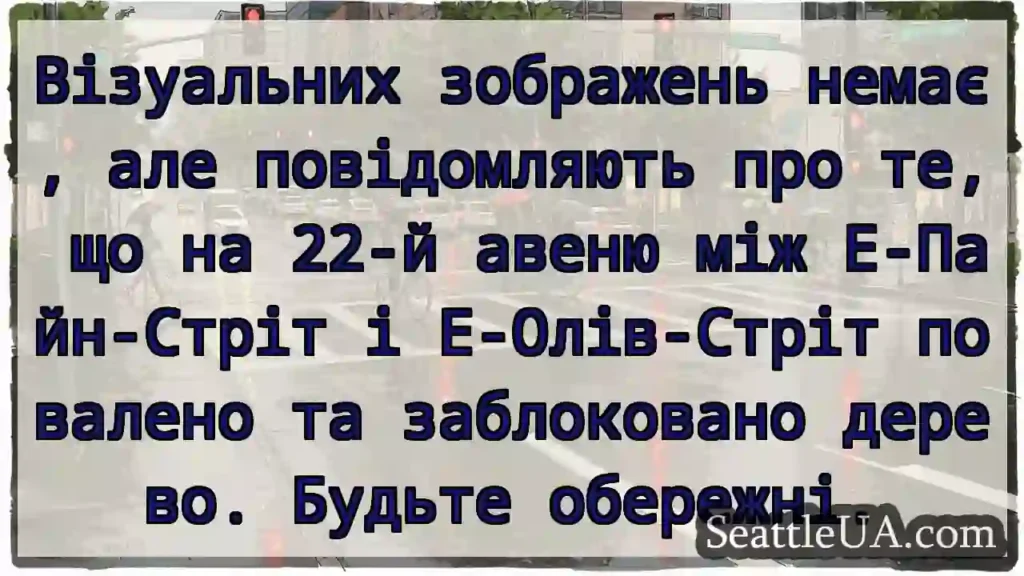 Візуальних зображень немає, але повідомляють про