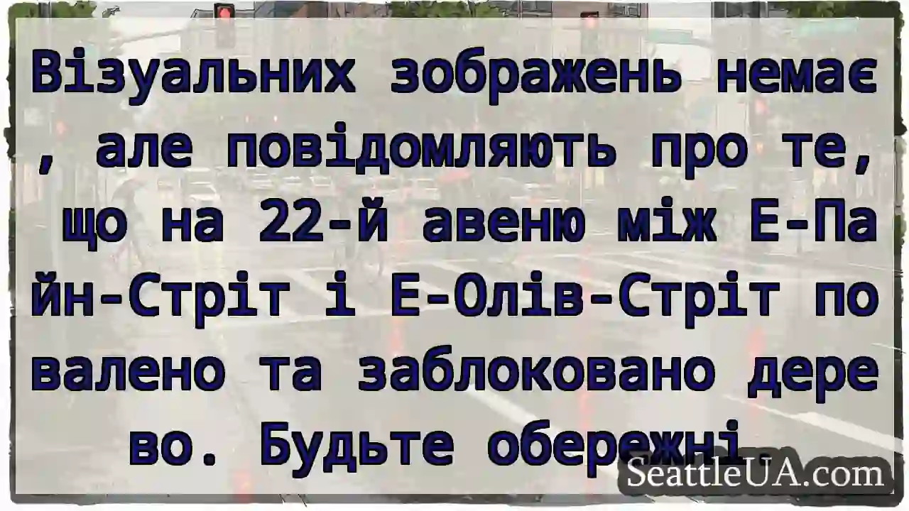 Візуальних зображень немає, але повідомляють про
