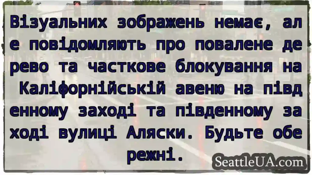 Візуальних зображень немає, але повідомляють про