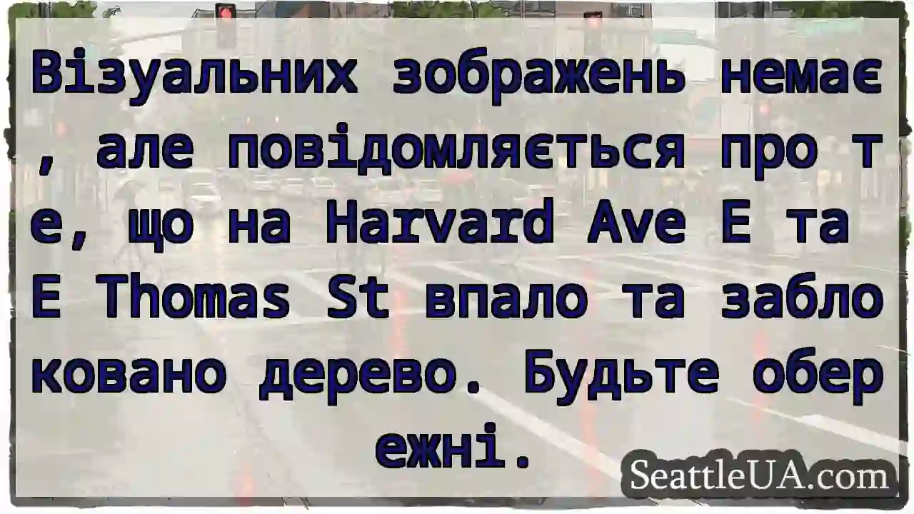 Візуальних зображень немає, але повідомляється